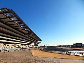 東京競馬場