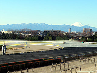 富士山＠東京競馬場