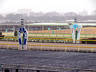 東京競馬場