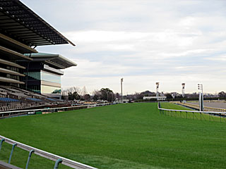 東京競馬場