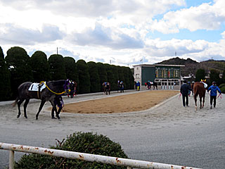姫路競馬場
