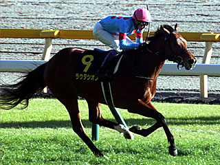 ラウダシオン(クロッカスステークス)