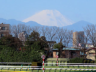 富士山＠東京競馬場