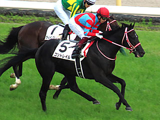 コントレイル(日本ダービー)