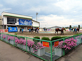 水沢競馬場パドック