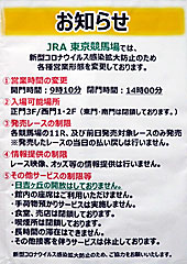 東京競馬場営業再開