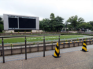 東京競馬場営業再開