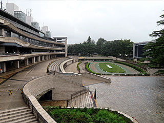 東京競馬場営業再開