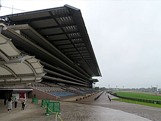 東京競馬場営業再開