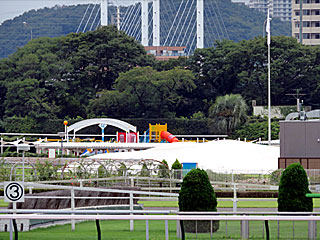 馬場内遊具@東京競馬場