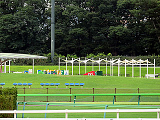 馬場内遊具@東京競馬場