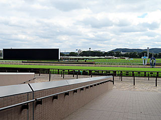 パークウインズ東京競馬場