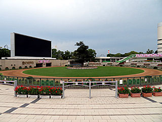 パークウインズ京都競馬場