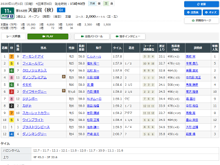 天皇賞秋レース結果