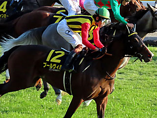 プールヴィル(オーロカップ)