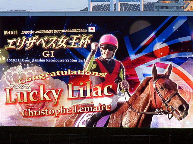 アウトレットセール 特集 阪神ジュベナイルフィリーズ ラッキー