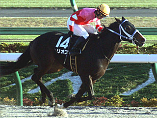 ヘリオス(霜月ステークス)