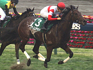 ダノンザキッド(東京スポーツ杯2歳ステークス)