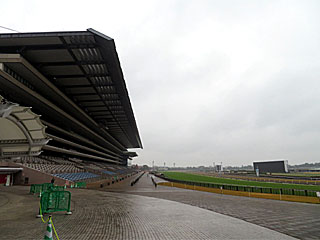 パークウインズ東京競馬場