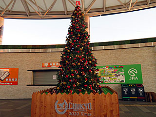 クリスマスツリー＠中京競馬場