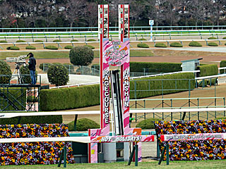 ゴール板（阪神ジュベナイルフィリーズ）