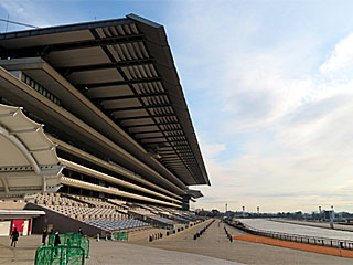 東京競馬場