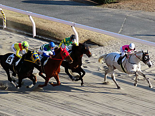 川崎競馬場