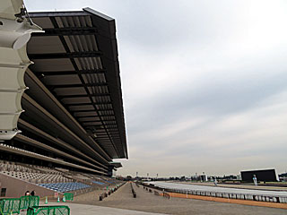 東京競馬場