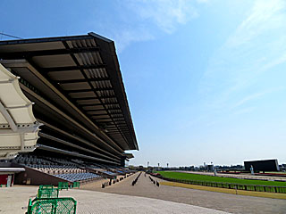 東京競馬場