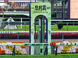 中山競馬場（2021年皐月賞）