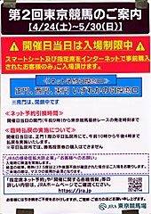 第2回東京競馬のご案内