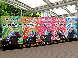 東京競馬場5週連続春G1開催