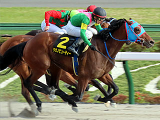 タガノビューティー(オアシスステークス)