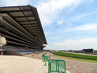 東京競馬場