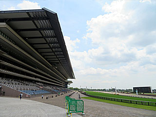 東京競馬場