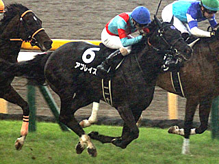 アブレイズ(メイステークス)