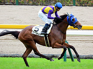 ローゼライト(3歳未勝利)