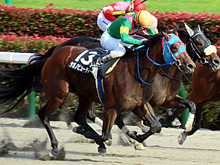 タガノビューティー(欅ステークス)