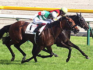 シャフリヤール(日本ダービー)