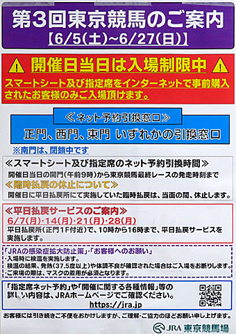 パラダイスステークス 21年6月27日の競馬日記 東京競馬場どっとこむ