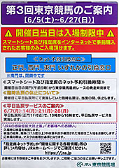 第3回東京競馬のご案内
