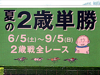 夏の2歳単勝