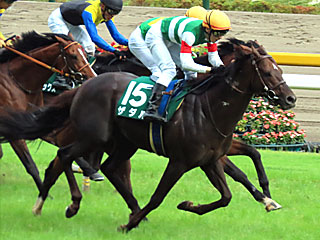 ザダル(エプソムカップ)