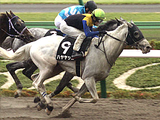 ハヤヤッコ(スレイプニルステークス)