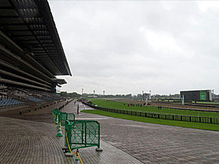 東京競馬場