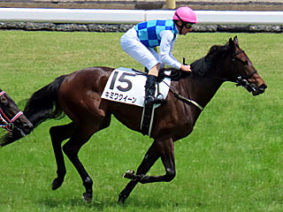 キミワクイーン(2歳新馬)