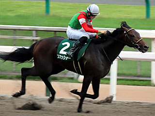 スマッシャー(ユニコーンステークス)