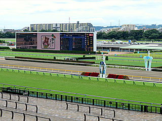 東京競馬場