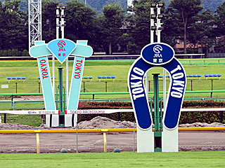 東京競馬場