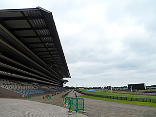 東京競馬場